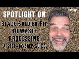 3.11b Spotlight Video - Black Soldier Fly Biowaste Processing