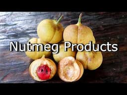 The Many Uses Of Nutmeg FRUIT (Jam, candy, medicine, juice and more!)