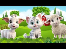 Discover Farm Animals: Kitten, Sheep, Goat, Pig, Cat, Duck - Farm Animal Sounds