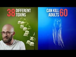 50 of the Deadliest Plants and Animals on Earth