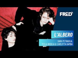 Intervista: Sara Petraglia, Tecla Insolia & Carlotta Gamba - L' ALBERO