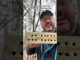 Have you found a gadget Multi Geocache??