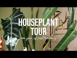 Houseplant Tour | 150+ Rare and Common Plants