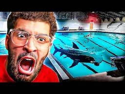 MY BIGGEST FEAR HAS ARRIVED | Shark & Minnows