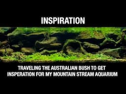 Come on a Journey with me to get Inspiration for my Australian Mountain Stream Aquarium Biotope.