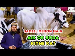 Aik or SODAY ke RATES at Jameel Memon Society | Cheena Cattle Farm Stall | Cattle Market Karachi