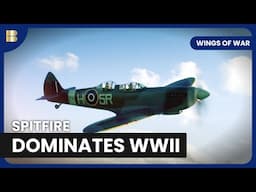 The Spitfire’s Legacy in WWII | Wings of War | Documentary