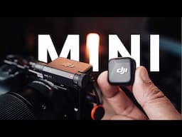 DJI Mic Mini Review | The Main Features You Need To Know (Is It Worth the Hype)