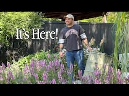 The Greenhouse Is Here & Much Needed Cleanup🌸|| Visit Our Garden