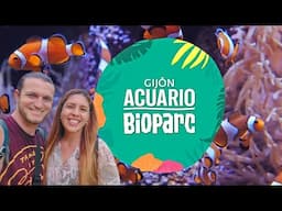 Así es BIOPARC ACUARIO GIJÓN 2025 | Asturias | CONSEJOS (España)