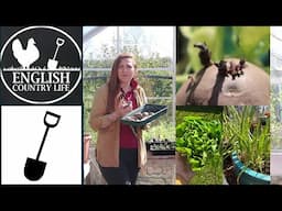 Beginners Guide to Growing Food