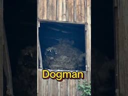 Dogman cryptid #dogman #cryptid