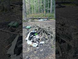 Give a Hoot. Don't Pollute! #giffordpinchotnationalforest #mtsthelens #garbage #camping #overlanding