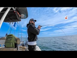 Dropping Jigs On A WWII Ship And Caught This Monster Fish!