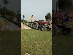Maize 🌽 harvesting #youtubeshorts #farming #sidhumoosewala