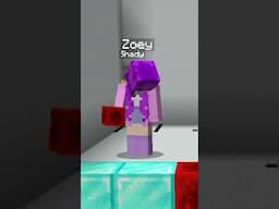 Minecraft COLOR MATCH! 8