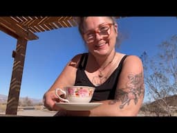Sun tea! ☀️🫖 | van life in the heat | hot in the desert with a dog #desert #vanlife #sun #tea