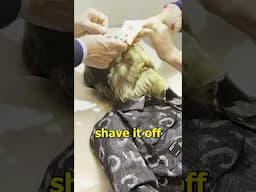 The Man With Werewolf Syndrome