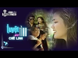 Chế Linh | Tuyệt Tình (Đỗ Lễ) | Nhạc Vàng Tình Ca