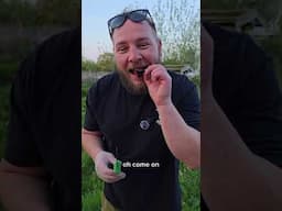 eating placenta! #offgridliving #offgridlife #farm #farmlife #homestead #vanlife #naturalliving