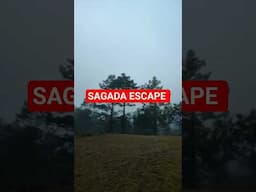 SAGADA ESCAPED
