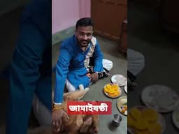 জামাইষষ্ঠীর দ্বিতীয় বছর। #arpitabiswas #arpitabiswasvlog ❤️