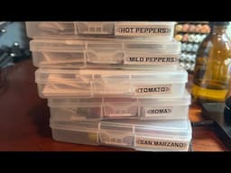 LIVE: Seed Germinating