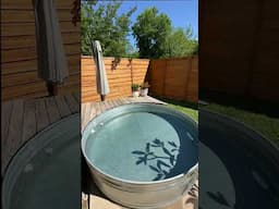 Almost time to fill up the Stock Tank Pool for summer! 👙