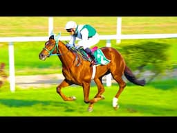 Queen Elizabeth II Memorial Cup Winner | RAMIEL