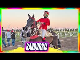 BANDURRIA Avia Terai CH  08 06 2025