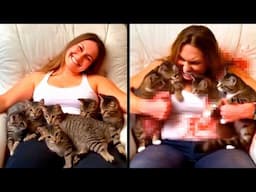 10 Pets That Ate Their Owners Right In Front Of Everyone