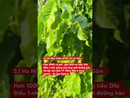 Anh chị quan tâm alo em 0819444555