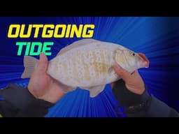 Switching tactics to figure out the Surf Perch bite.
