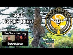 How to get FREE Honey Bees Interview with Mateo Kaiser of BeeSwarmed.