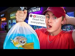 YOU Won’t Believe What We Found in these AQUARIUM STORES!!
