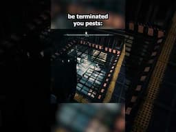 When you find a pest at home