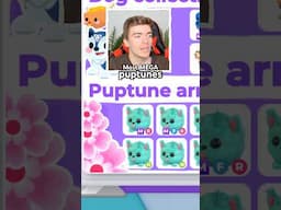 Most Puptunes In Adopt Me! Inventory Tour #roblox #adoptme #shorts
