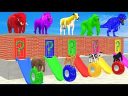 Cow Elephant Gorilla Lion T-Rex Guess the Right Door Challenge, Help Long Slide Animals Tire Game