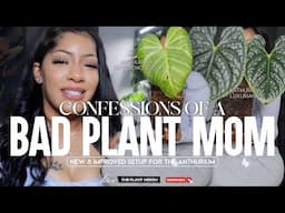 Is the No Drainage Method Killing My Anthurium? | Bad Plant Moms Gather Here