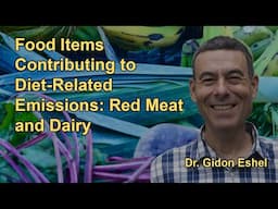 Food Items Contributing to Diet-Related Emissions: Red Meat and Dairy