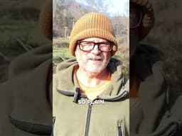 BIGFOOT At My Window!!! #bigfoot #paranormal #scary #story #shorts
