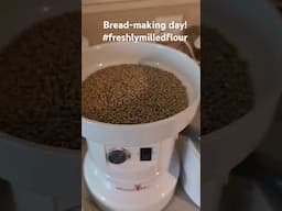 I wanted to show you how easy it is! #freshlymilledflour #fmf #homemadebread #catholicmom