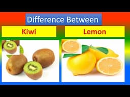Differences Between Medical And Health Benefits Of Kiwi  and Lemon