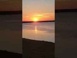 #shorts #shortvideo #short #shortsfeed