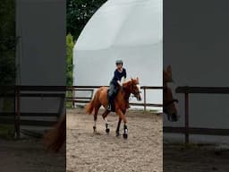 🥰 #horses #лошади #equestrian #конкур #equestrianlife #лошадь #конныйспорт #equestrianstyle #horse