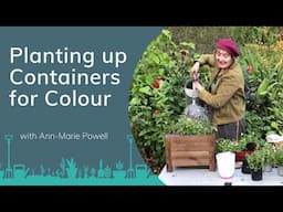 Planting up Containers for Colour with Ann-Marie Powell | PrimroseTV