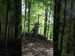 That feeling when he gobbles on his own!! 😁 #turkeyhunting #hunting #nature #outdoors
