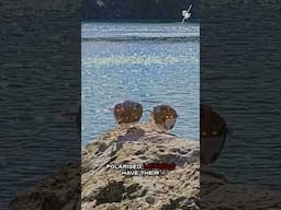 Why POLARISED Sunglasses are BETTER