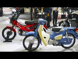 2026 Honda Super Cub Lite
