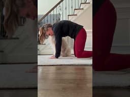 WEEK 16 of “Exercise Every Day in 2025” - CAT/COWS